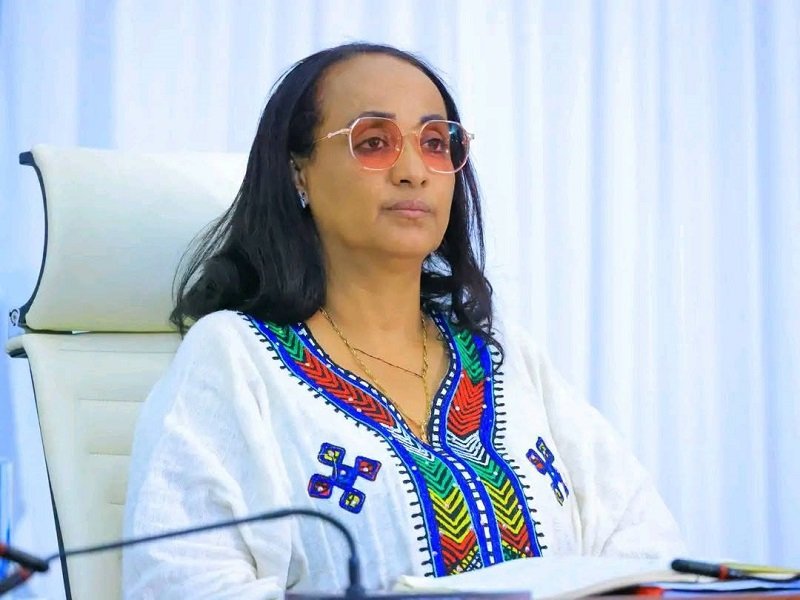 Amhara regional sate _ Fantu Tesfaye 