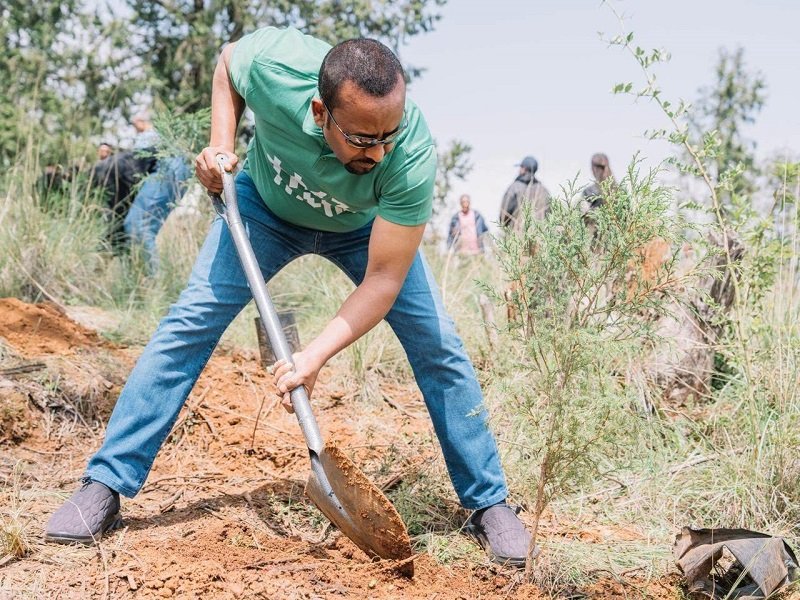 Ethiopia _ Green Legacy Critic 