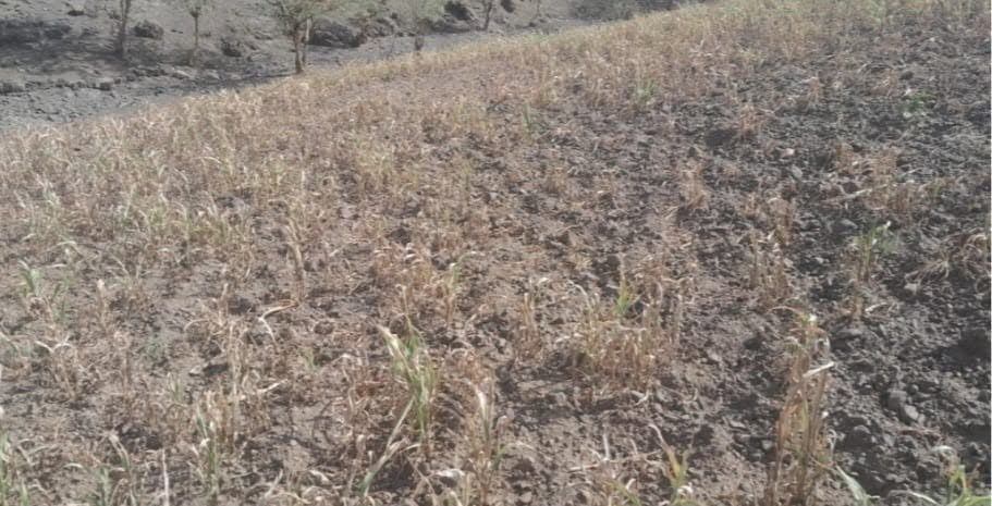 Ethiopia Drought 