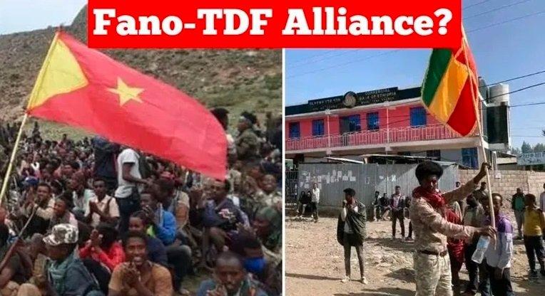 Ethiopian politics _ Armed opposition coalition _ Ethiopia _ TPLF _ Fano