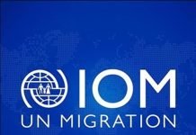 IOM _ Ethiopia