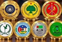 Ethiopian Rebel Alliance _ News