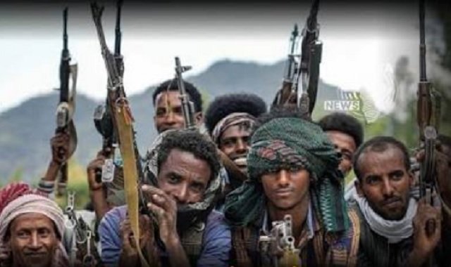 Armed coalition _ Ethiopian Politics 