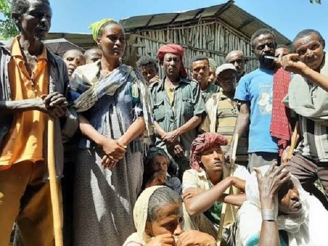 Amhara _ Ethiopia _ Human Rights 