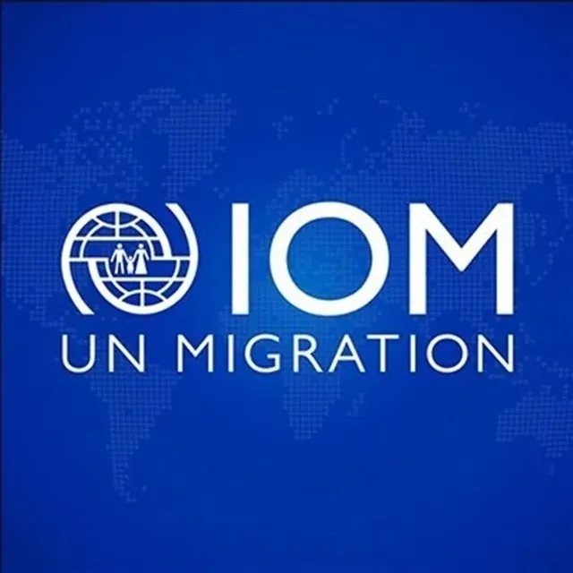 IOM _ Study _ Ethiopia IDPs 