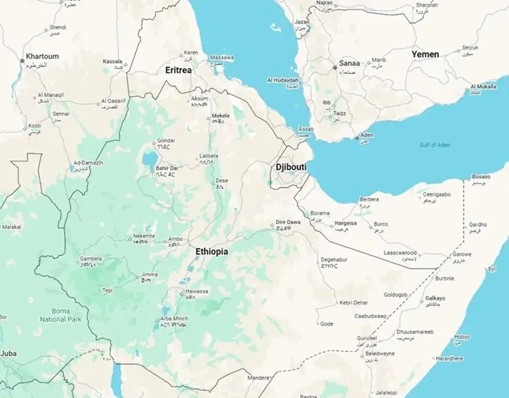 Tsimdo Allinace _ Ethiopia _ Eritrea 