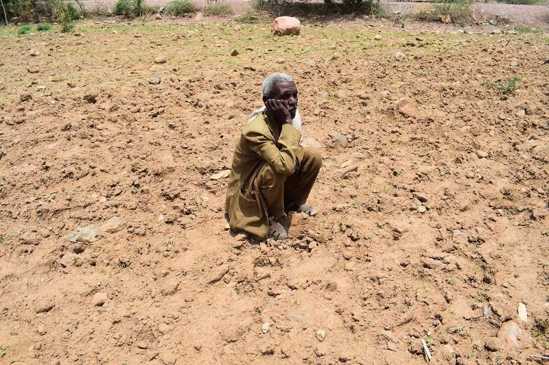 Severe drought in north Ethiopia 