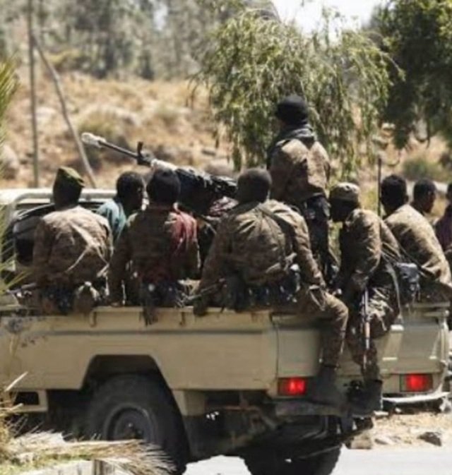Alliance for Survival _ Ethiopian Politics 
